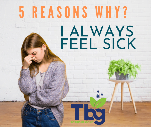 Toxins Be Gone Wholistic Detox Program Take Back Your Health